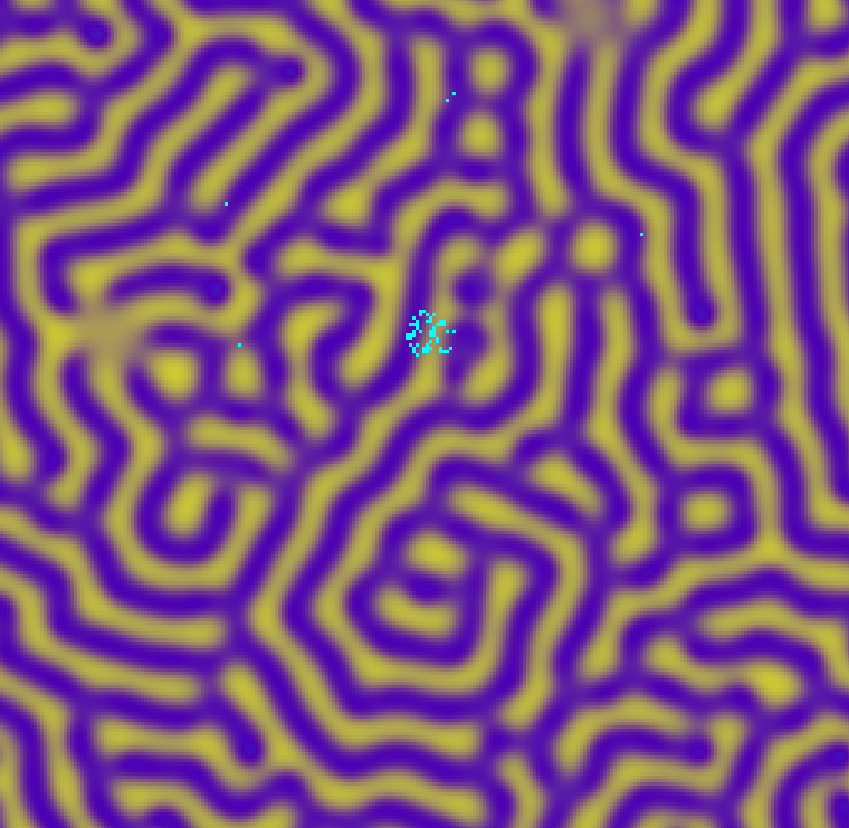 tbd_simulation_stripes_spots.png